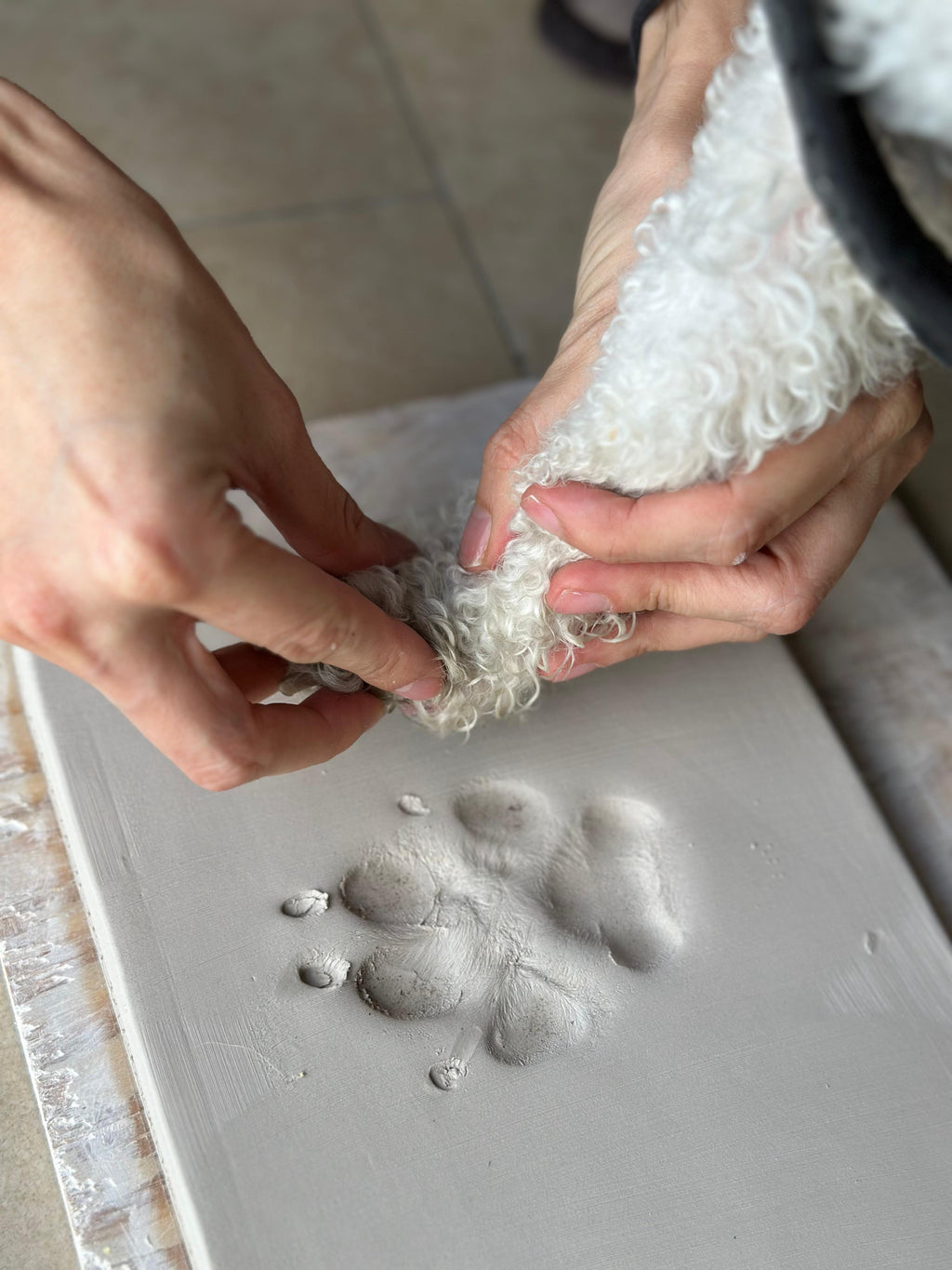 Puppy Prints
